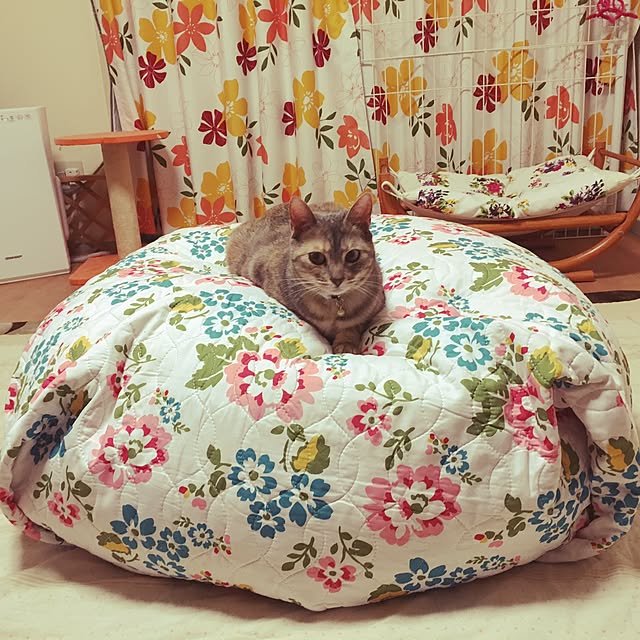 mayakaさんの実例写真