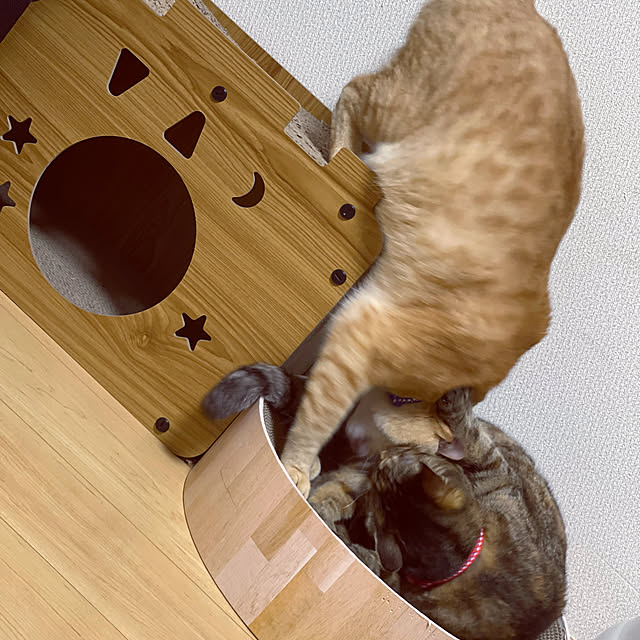 chiiさんの部屋