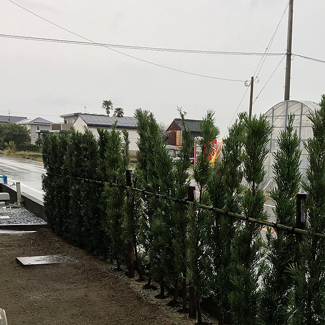 t-blueさんの実例写真
