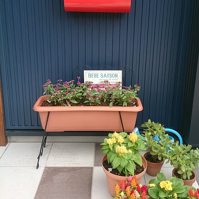 実例写真