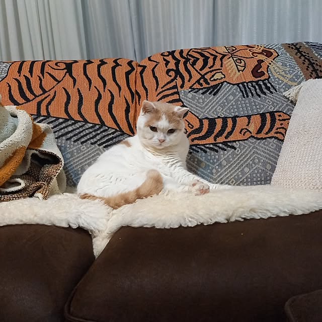 amutantanさんの実例写真