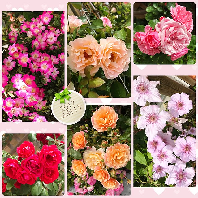 HappyRoseさんの実例写真