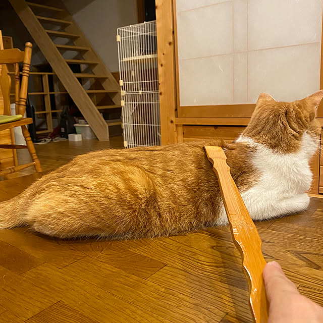 senbei.sakuramochiさんの実例写真