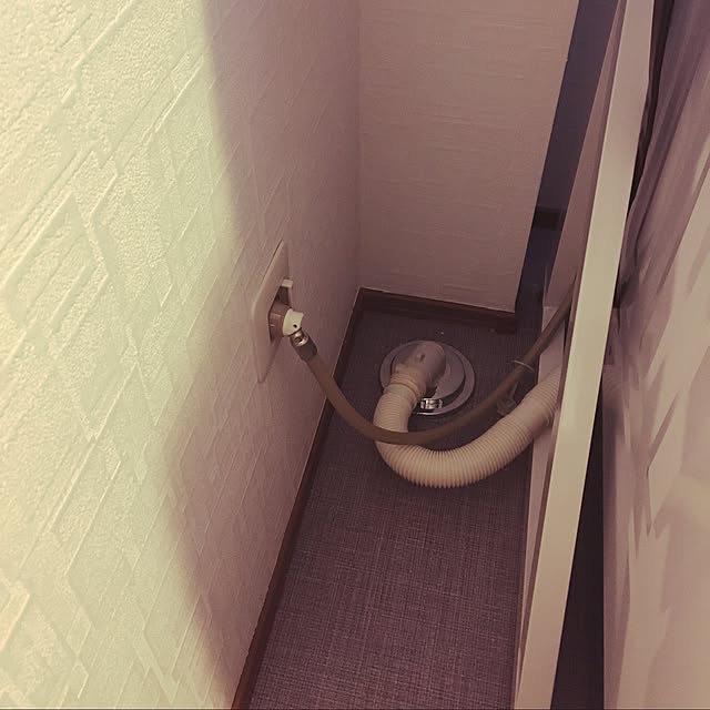 脱衣所/排水ホース隠し/バス/トイレのインテリア実例 - 2021-01-20 09:34:16