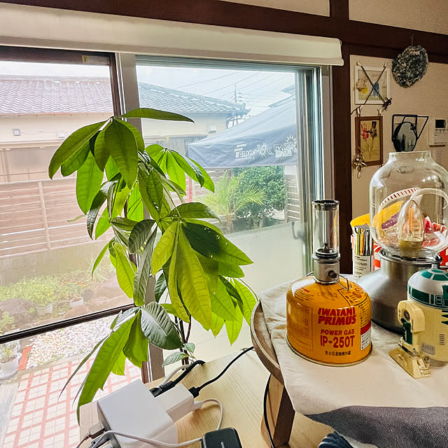 nobuさんの実例写真