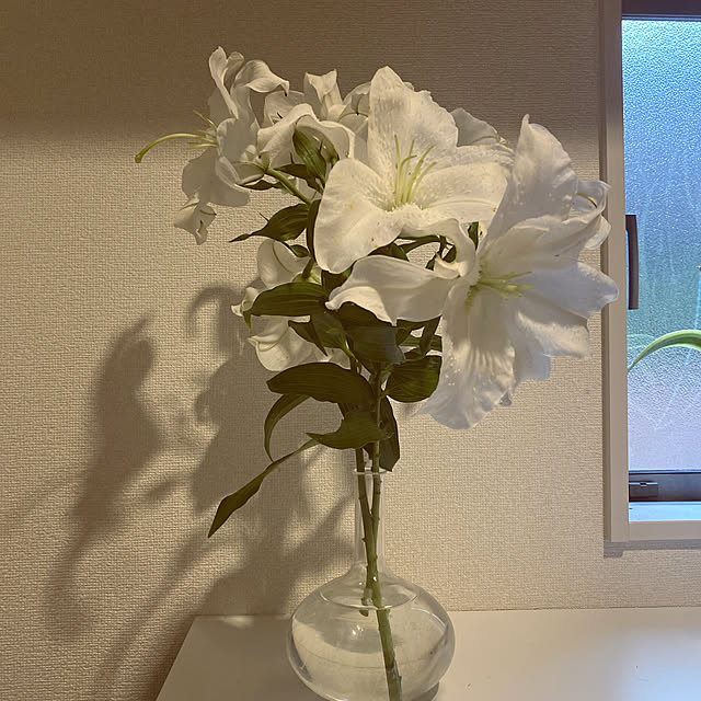 Hanaさんの実例写真