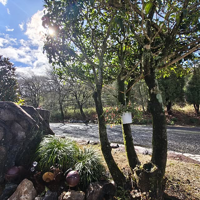 Rubiconさんの部屋