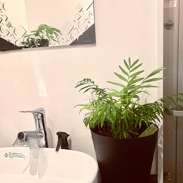 MOMOMAMAさんの部屋