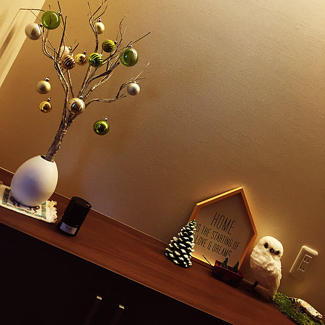 satoさんの実例写真
