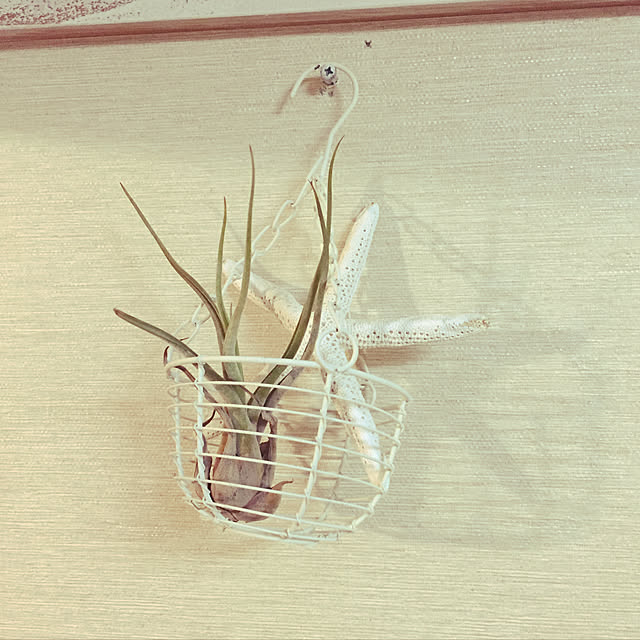 yukiさんの実例写真