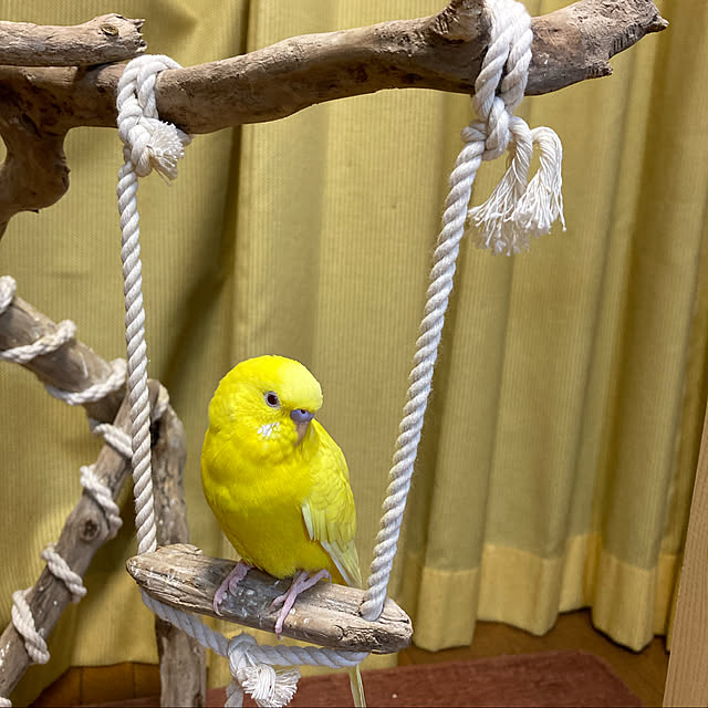 chateaさんの実例写真