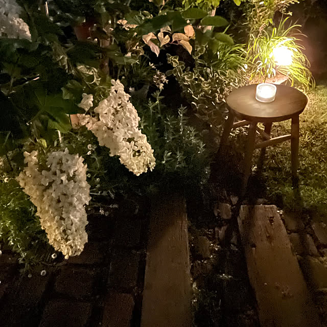 nobikoさんの部屋