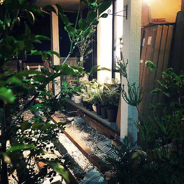 86さんの実例写真