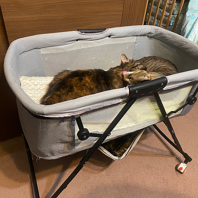 mikomaruさんの実例写真