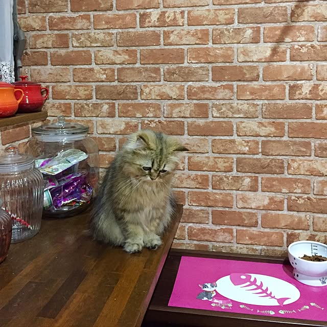butachanさんの実例写真