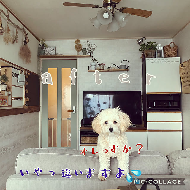 nikoさんの実例写真