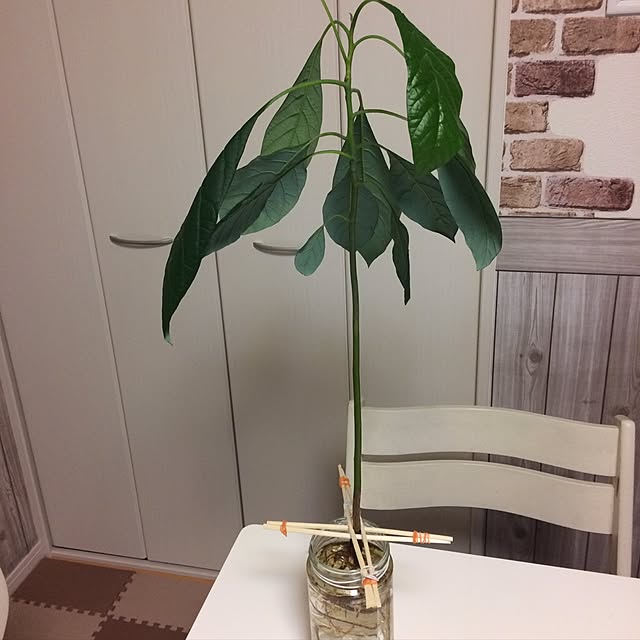 tomoさんの実例写真