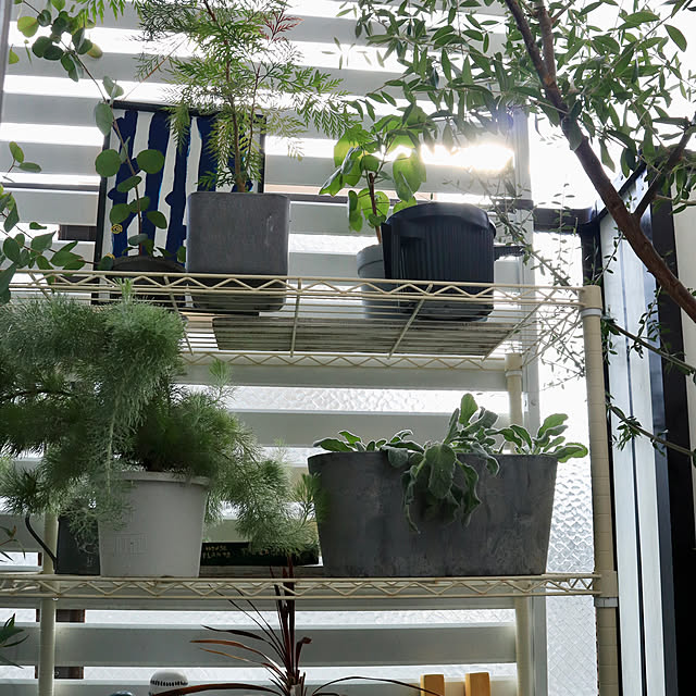 Hisayoさんの部屋