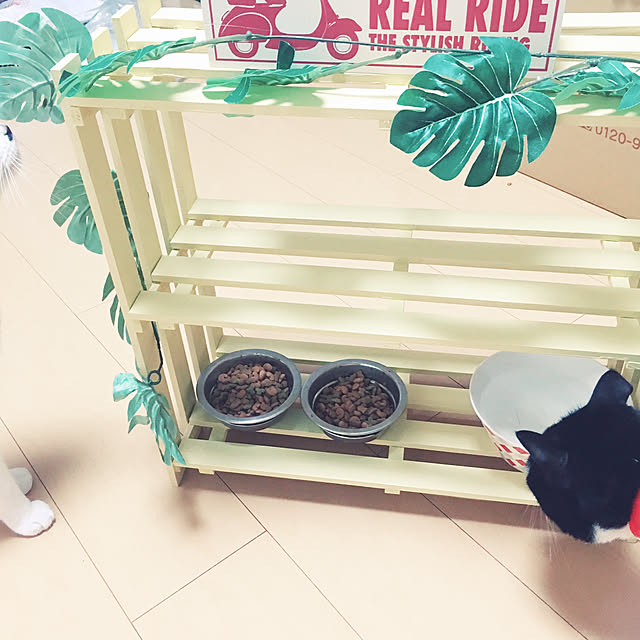 maiさんの実例写真