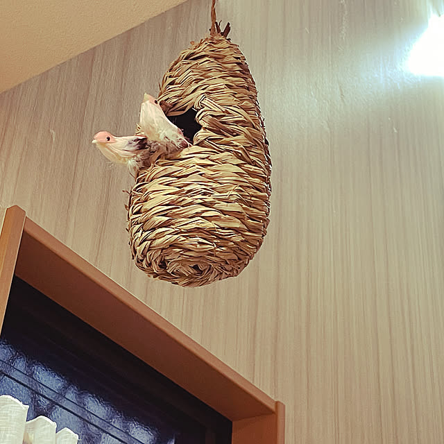kiyomiさんの部屋