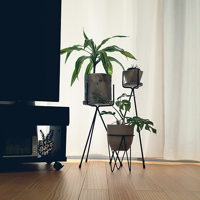 YUMINN11さんの実例写真