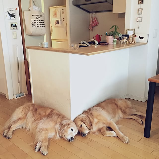 Rose0930さんの実例写真