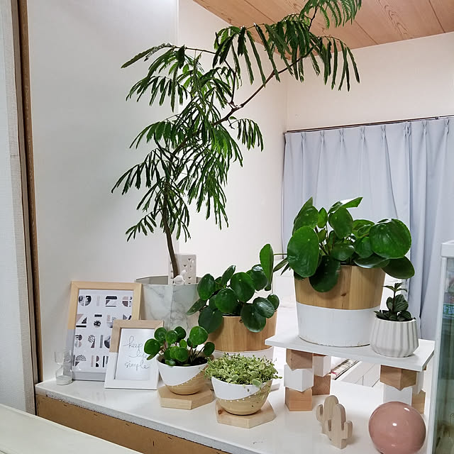 ...t_m_eee...さんの実例写真