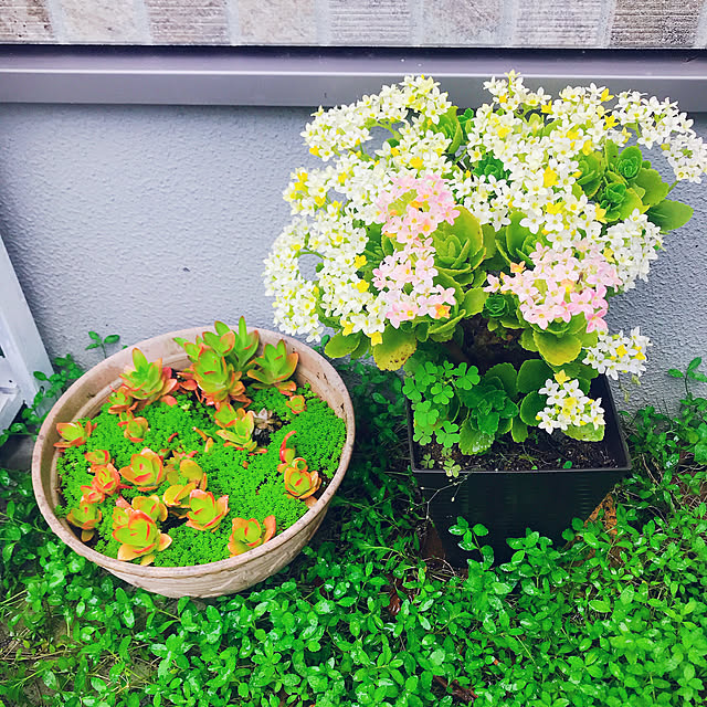rizumu4649さんの実例写真