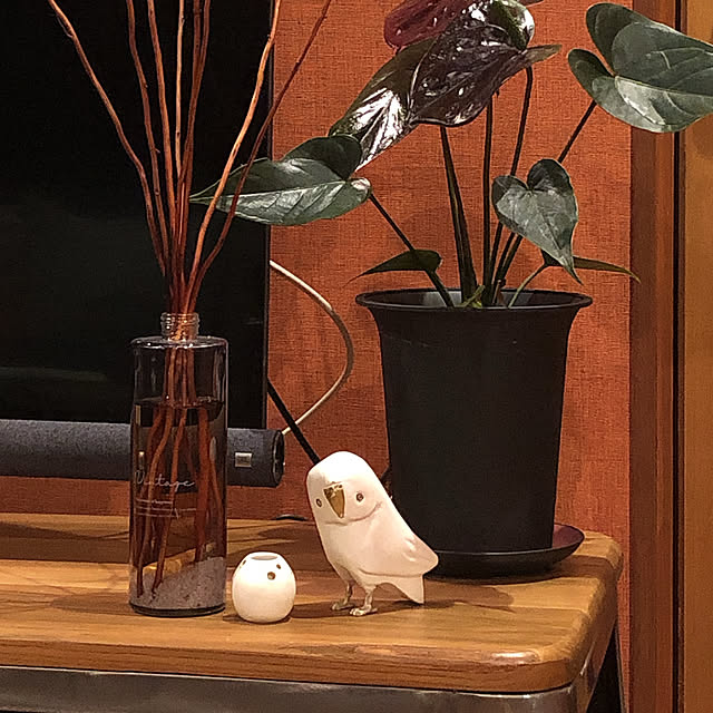 Nicaさんの実例写真