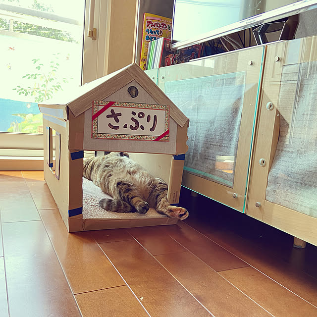hansho.sさんの実例写真