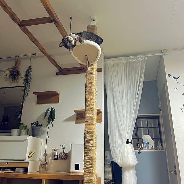 masamasaさんの実例写真
