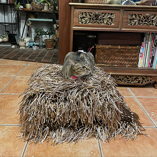 shigimiさんの実例写真