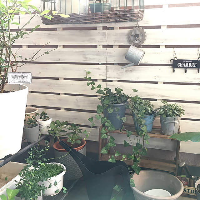 ichi.さんの実例写真