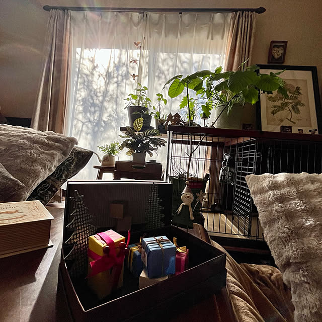 cotaさんの実例写真