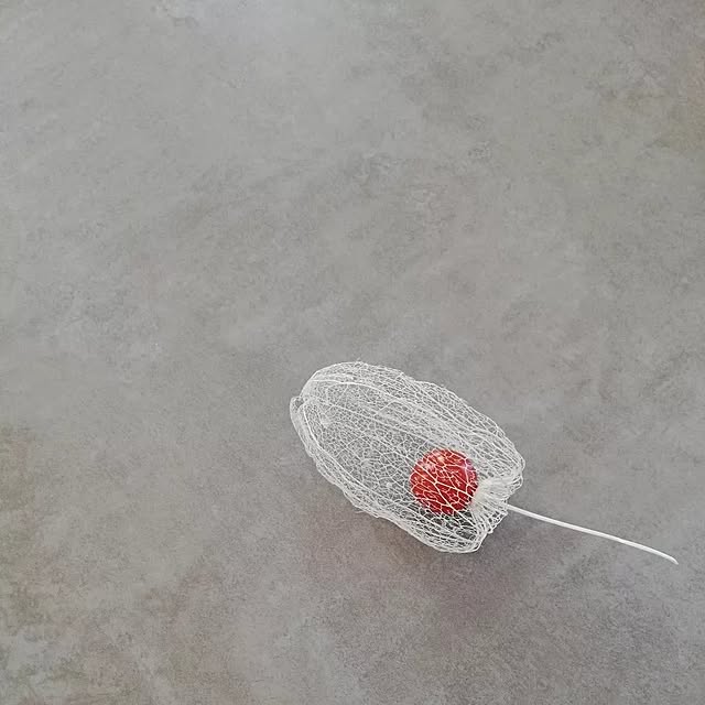 fumitanさんの部屋