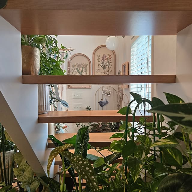 nonbiri_house_さんの実例写真