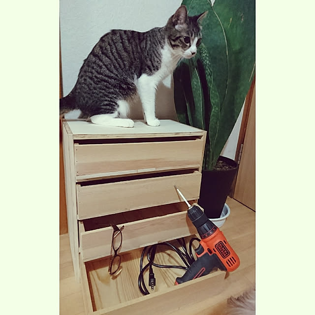 Reiさんの実例写真