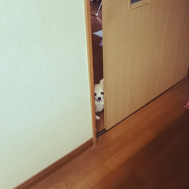 mizuさんの実例写真