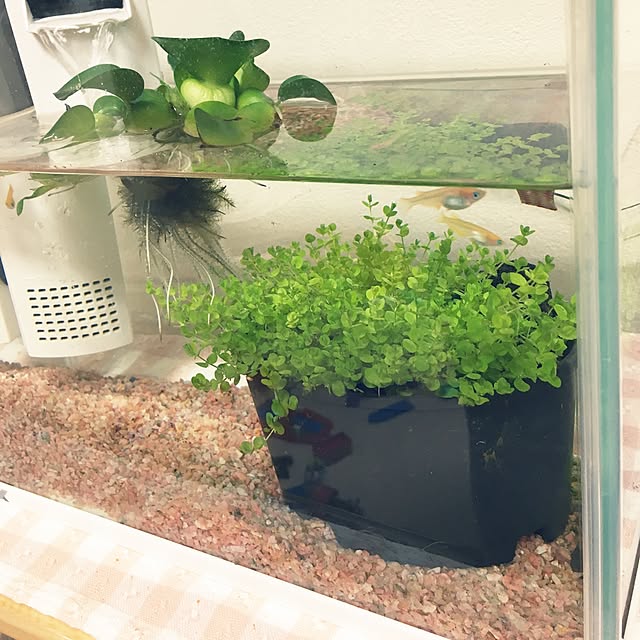 nanohanaさんの実例写真