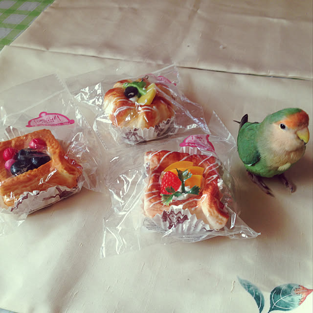 aoinokimiさんの実例写真