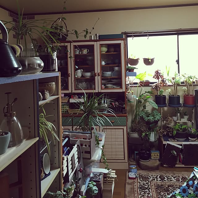 Norikoさんの実例写真