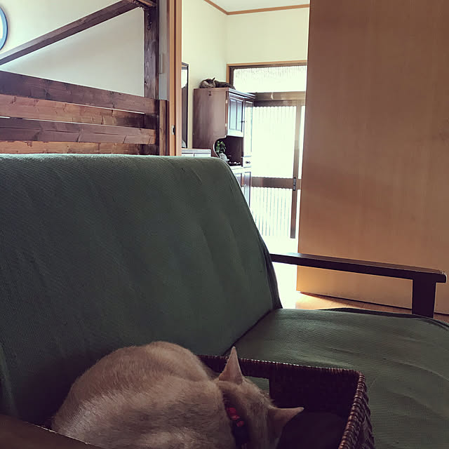 mikan161さんの実例写真