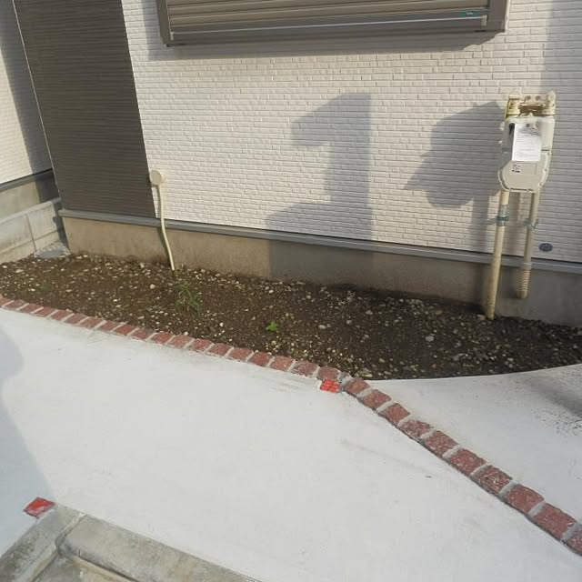suzyさんの実例写真