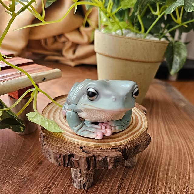 mogmogさんの部屋