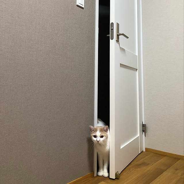 壁/天井のインテリア実例 - 2020-10-05 22:41:39