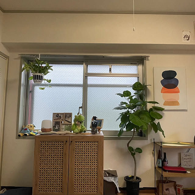 ykmmrさんの実例写真