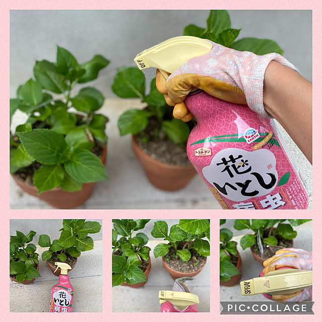 miyumiyuさんの実例写真
