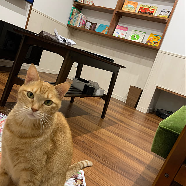 mikeume7さんの実例写真