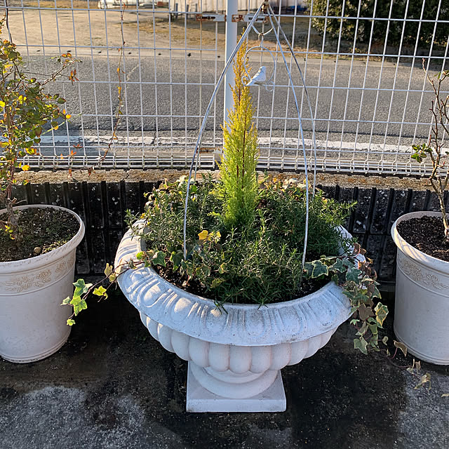 AYUKOさんの実例写真