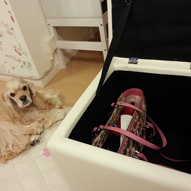 evetamaさんの実例写真